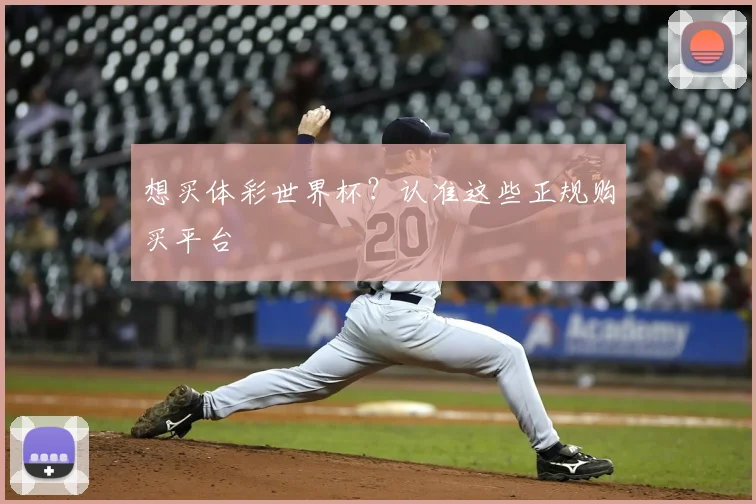 想买体彩世界杯?认准这些正规购买平台