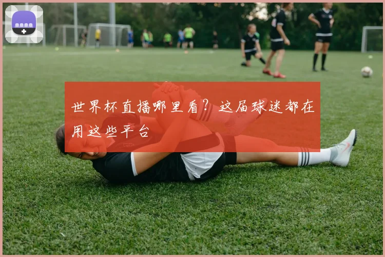 世界杯直播哪里看？这届球迷都在用这些平台